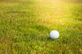 Golf ball. Royalty Free Stock Photo