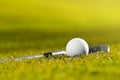 Golf ball and club on grass Royalty Free Stock Photo