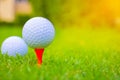 Golf ball on the Course. Royalty Free Stock Photo