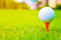 Golf ball on the Course. Royalty Free Stock Photo