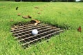 Golf Ball on the Drainage Screen