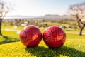 Golf ball for Easter Holiday with balls and eggs are on green grass Royalty Free Stock Photo