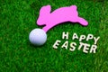 Golf ball on Easter holiday Royalty Free Stock Photo