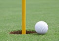 Golf ball on the edge of the cup Royalty Free Stock Photo