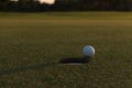 Golf ball on edge of the hole Royalty Free Stock Photo