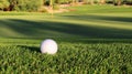 Golf Ball on fairway Royalty Free Stock Photo