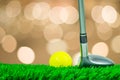 Golf ball and fairway wood on grass Royalty Free Stock Photo