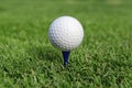 Golf ball and Flagstick of Manicured grass of putting green Royalty Free Stock Photo