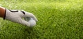 Golf ball in gloved hand, green course lawn background, close up view