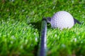 Golf ball with golf club on green grass