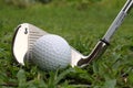 Golf ball and golf iron club Royalty Free Stock Photo