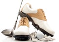 Pair of Golf Shoes with Glove, Ball and Club