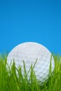 Golf ball in grass