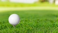 Golf ball on grass in green background. Banner for advertising with copy space. Royalty Free Stock Photo