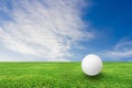 Golf ball on grass nature Royalty Free Stock Photo