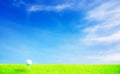 Golf ball on grass under blue sky with High-light Royalty Free Stock Photo