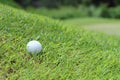 Golf ball on green.