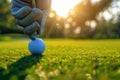 Golf ball on the green Royalty Free Stock Photo