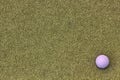 Golf ball on green back ground Royalty Free Stock Photo