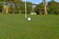 A Golf Green - Close Up Of Ball Royalty Free Stock Photo