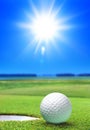 Golf ball on green course Royalty Free Stock Photo