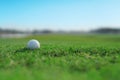 Golf ball on a green fairway grass Royalty Free Stock Photo