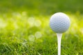 Golf Ball On Green Grass Bokeh Background