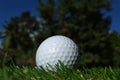 Golf ball on the green,Green grass with golf ball close-up in soft focus at sunlight. Sport playground for golf club concept -