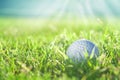 Golf ball on green grass course, closeup shot