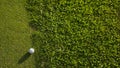 Golf ball on green grass in the evening golf course with sunshine background. Golf ball on the edge of hole on the green grass Royalty Free Stock Photo