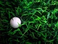 Golf ball on green grass field Royalty Free Stock Photo