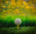 Golf ball on green grass field and yellow blur bac Royalty Free Stock Photo