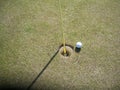 Golf ball on green grass