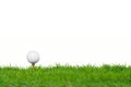 Golf ball on green grass Royalty Free Stock Photo