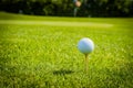 Golf ball on golf green grass natural fairway Royalty Free Stock Photo