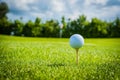 Golf ball on golf green grass natural fairway Royalty Free Stock Photo