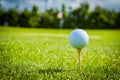 Golf ball on golf green grass natural fairway Royalty Free Stock Photo