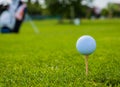 Golf ball on golf green grass natural fairway Royalty Free Stock Photo