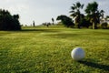 Golf ball on green grass, palm trees background Royalty Free Stock Photo