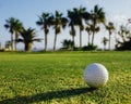 Golf ball on green grass, palm trees background Royalty Free Stock Photo