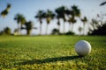 Golf ball on green grass, palm trees background Royalty Free Stock Photo