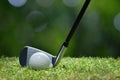 Golf ball on green grass ready to be struck on golf course Royalty Free Stock Photo