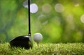 Golf ball on green grass ready to be struck on golf course Royalty Free Stock Photo