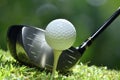 Golf ball on green grass ready to be struck on golf course Royalty Free Stock Photo