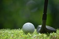 Golf ball on green grass ready to be struck on golf course Royalty Free Stock Photo
