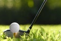 Golf ball on green grass ready to be struck on golf course background Royalty Free Stock Photo