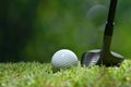 Golf ball on green grass ready to be struck on golf course Royalty Free Stock Photo