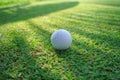 Golf ball on green grass sunset background Royalty Free Stock Photo