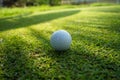 Golf ball on green grass sunset background Royalty Free Stock Photo