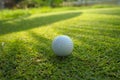 Golf ball on green grass sunset background Royalty Free Stock Photo